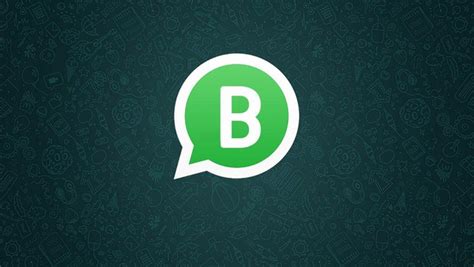 whatsapp business logo png 10 free Cliparts | Download images on ...