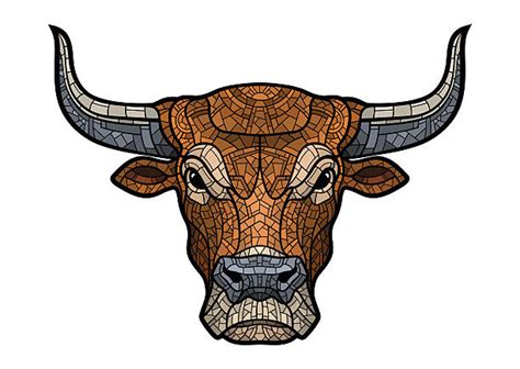 Best Bull Head Illustrations Royalty Free Vector Graphics And Clip Art