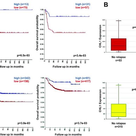 Low Chl Expression Correlates With Poor Prognosis In Nb Patients A