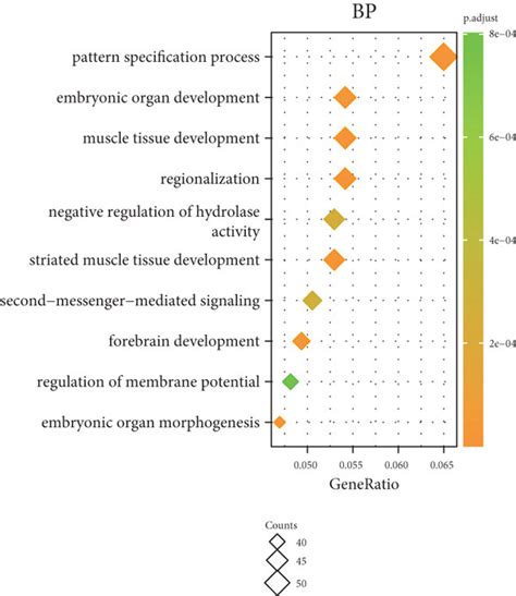 Functional Enrichment Analysis Of PRNP In Ovarian Cancer Ac GO BP