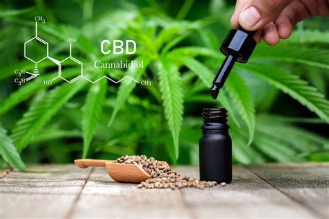 CBD Leitfaden Was Ist Cannabidiol Und Wie Hilft Es