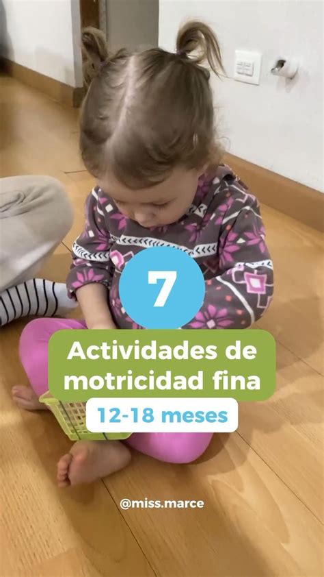 Actividades de motricidad fina bebés 18 24 meses en 2024