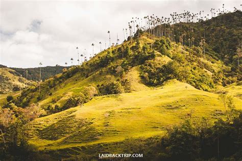 Manizales, Colombia: Best Things to Do — LAIDBACK TRIP