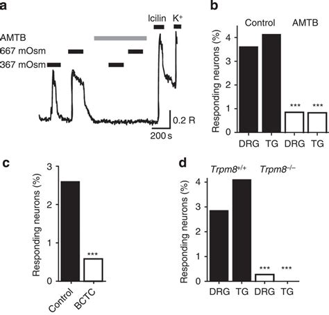 Hyperosmotically Activated Drg Neurons Express Trpm8 A Ca2 I