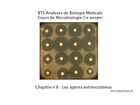 cours bts analyses de biologie médicale