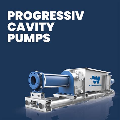 Progressing Cavity Pumps Hopper Feed Immersion Hygienic Pumps Twin