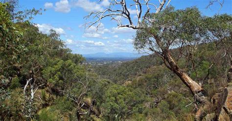 Warby Friends Track Circuit Walk 5 5km Warby Ovens National Park VIC