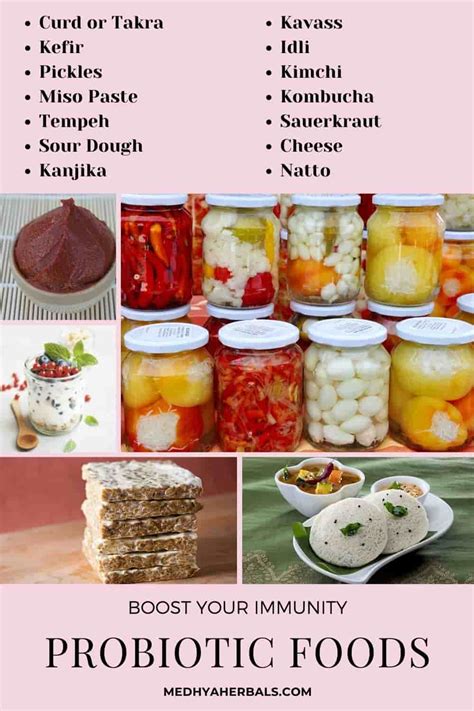 11 Homemade Probiotic Foods for Healthy Gut and Brain (Ultimate Guide)