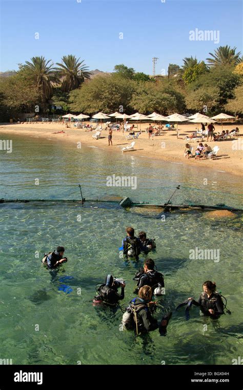 Israel Tauchen Mit Den Delphinen In Der Dolphin Reef Beach In Eilat