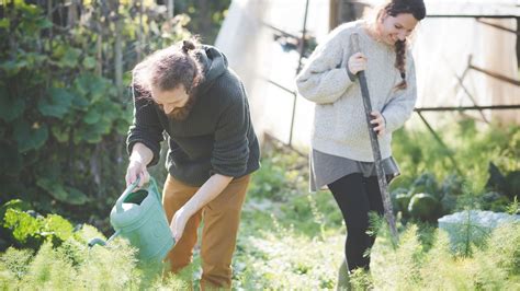 Feuilleton La Fine Fleur Des Jardiniers