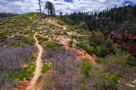 West Rim Trail Top Down Route Photos Page 2 Joes Guide To Zion