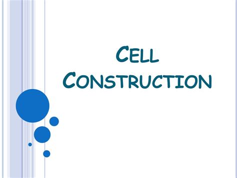 PPT - Cell Construction PowerPoint Presentation, free download - ID:1618371