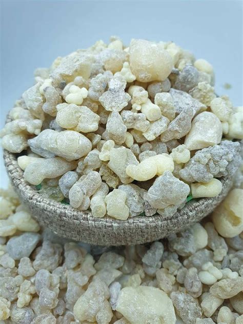 New Organic Frankincense Olibanum From Oman Resin Aromatic Natural