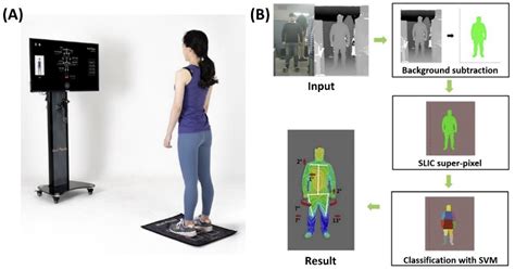 Ijerph Free Full Text Appraisal Of The New Posture Analyzing And