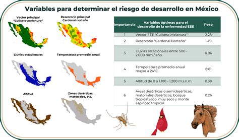 Encefalitis Equina Del Este