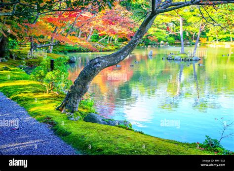 Autumn forest with river Stock Photo - Alamy