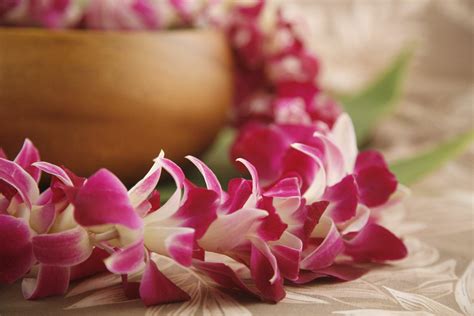 Standard Leis - Alii Hawaiian Flowers