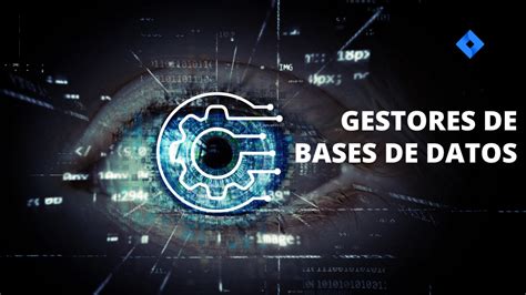 Gestores De Bases De Datos Codigo Vanguardia