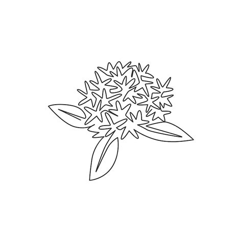 Premium Vector One Continuous Line Drawing Beauty Flowering Plant For