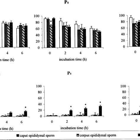 The Effect Of Inducing Ar With Progesterone Calcium Ionophore Or A