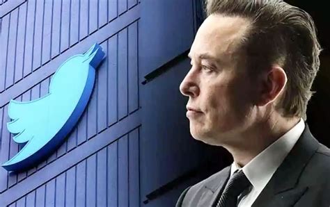 Elon Musk Conducts Poll Millions Of Twitter Users Voted In Favour Of