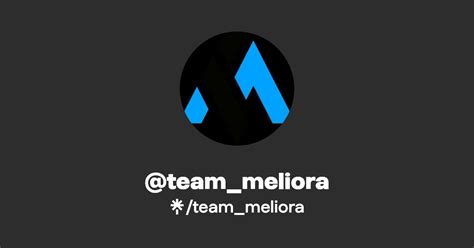 Team Meliora Twitter Instagram Twitch Linktree