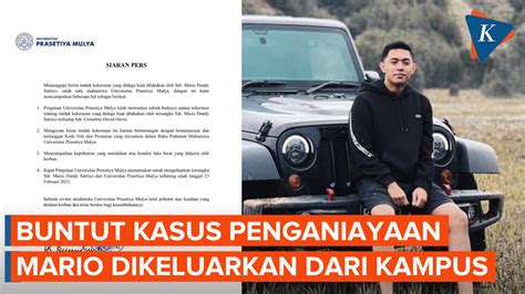 Berita Harian Mario Dandi Dikeluarkan Universitas Prasetiya Mulya