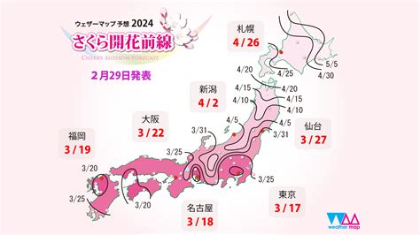 2024年第六回「さくら開花予想」ウェザーマップ発表 ～各地で平年より早い開花に 西・東日本では3日から1週間ほど早く咲くところ多い