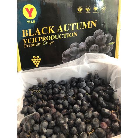 Jual Anggur Black Autumn Yuji Kg Shopee Indonesia