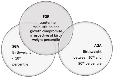 Classification And Special Nutritional Needs Of Sga Infants And