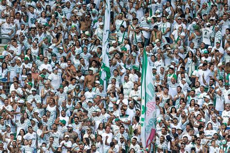 Torcida Do Palmeiras Protesta Contra Leila E Diretoria Durante Jogo