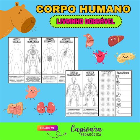 Livrinho Do Corpo Humano Capivara Pedagógica