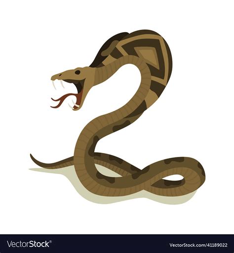 Viper Snake Drawing With Color