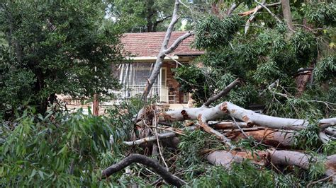 Nsw Weather Sport Events Cancelled As Extreme Heat Sto Storm Daily