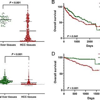 Fam A Is Frequently Downregulated In Hcc Tissues Based On Public