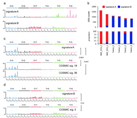 Mutational Signature Analysis A Mutational Signatures Identified By