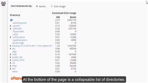 How To Use The Disk Space Usage Tool In Cpanel Youtube