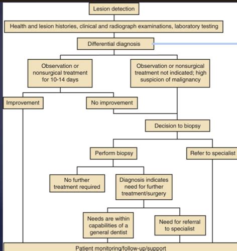 Non Odontogenic Lesions Flashcards Quizlet