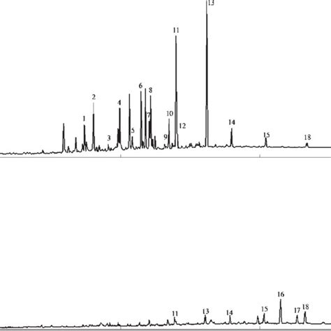 The depth of the anoxia photic zone and main reactions of carbon ...