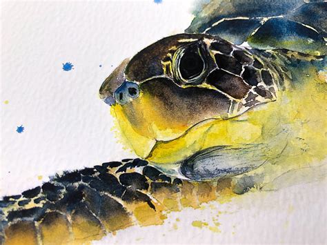 Turtle Watercolour Painting Chelys Galactica Hand Signed Limited