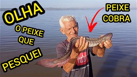 PESCANDO NA LAGOA GIGANTE TEM MUITO PEIXE E SIRI AQUI OLHA A REDE COMO