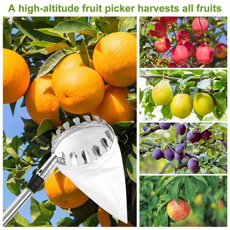 24m Pole Fruit Picker Picking Tool With Storage Bag Garden Orange Tree