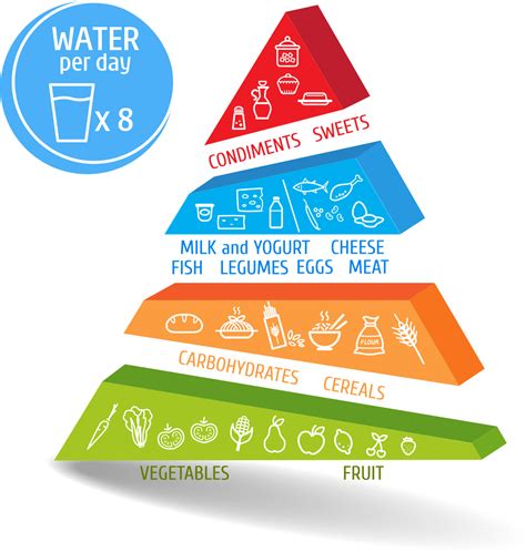 THE FOOD PYRAMID - IVS Iberica