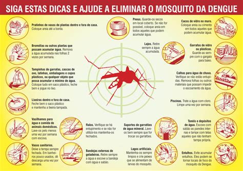 Symptoms Of Dengue on Tumblr