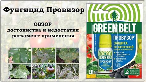 Фунгицид Провизор - обзор - YouTube