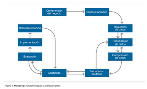 El Origen Y Evoluci N De La Ciencia De Datos Data Science