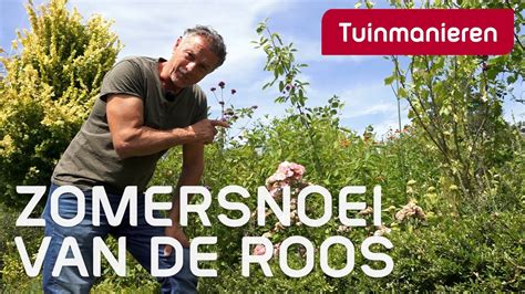 De Roos Snoeien In De Zomer Hoe Doe Je Dat Rozen Tuinmanieren