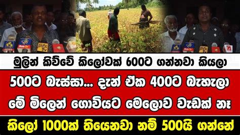 මුලින් කිව්වේ කිලෝවක් 600ට ගන්නවා කියලා500ට බැස්සා දැන් ඒක 400ට