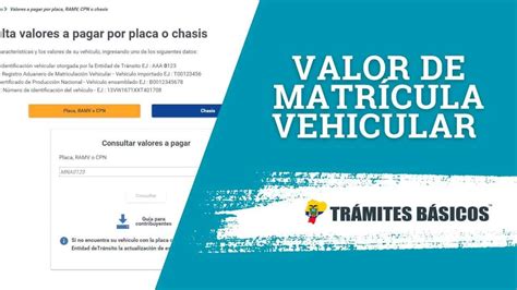 Consulta De Valor A Pagar Por Matrícula Vehicular 2023 En Ecuador Ecuador Consulta