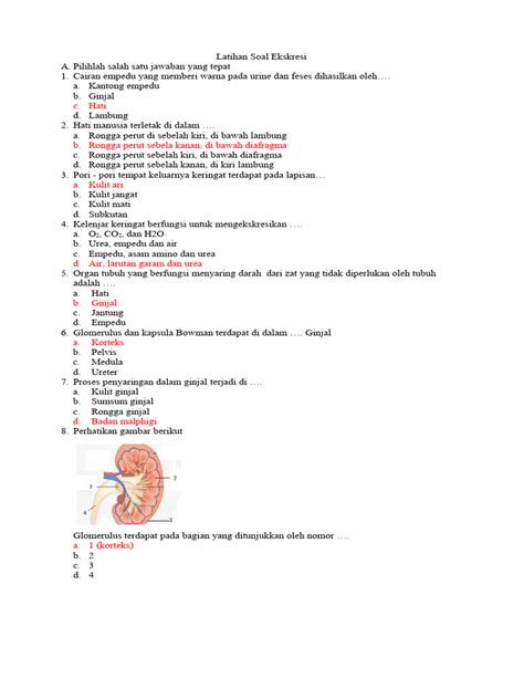 Latihan Soal Ekskresi Pdf